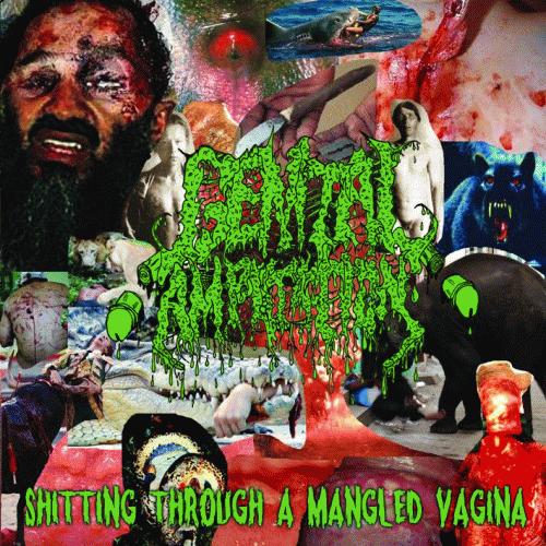 Shitting Through a Mangled Vagina